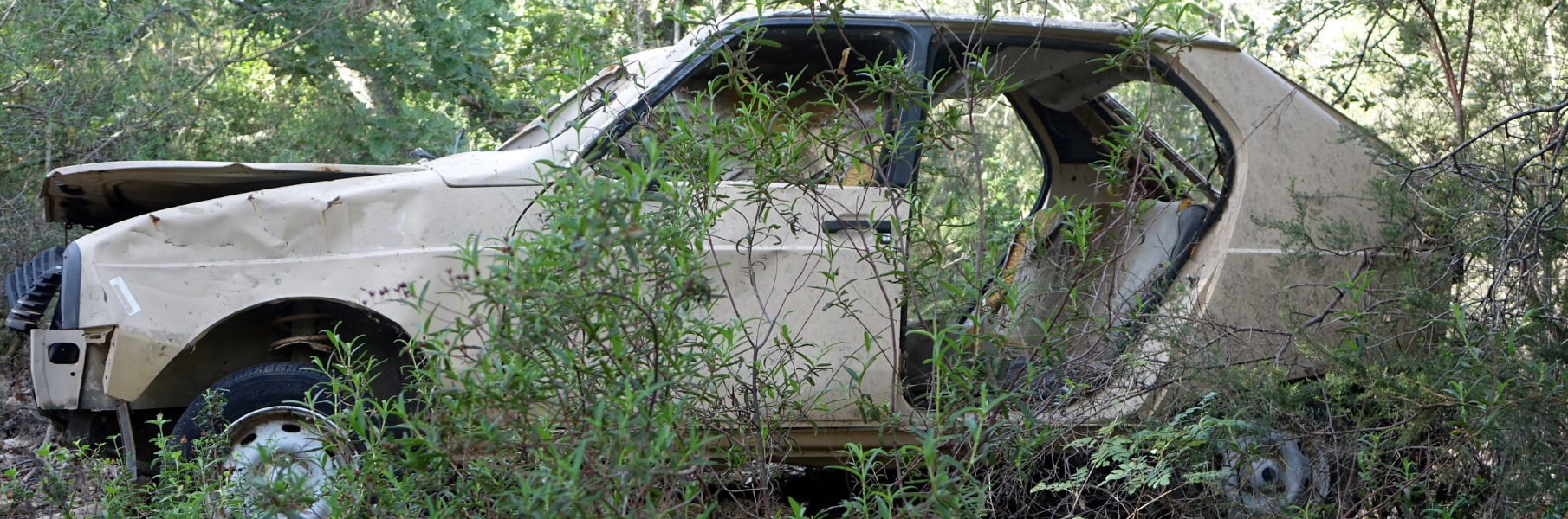 junk car covered in weeds and debris